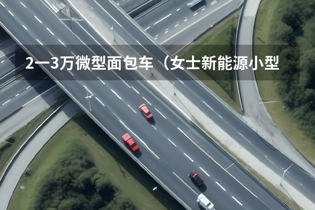2一3万微型面包车（女士新能源小型车5万以下）