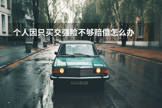 个人因只买交强险不够赔偿怎么办