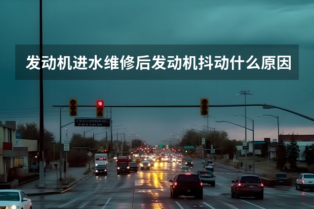 发动机进水维修后发动机抖动什么原因?