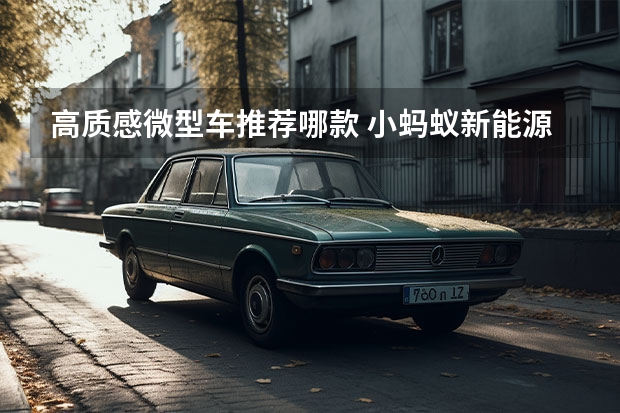 高质感微型车推荐哪款 小蚂蚁新能源汽车款价格(小蚂蚁续航400公里款落地价)