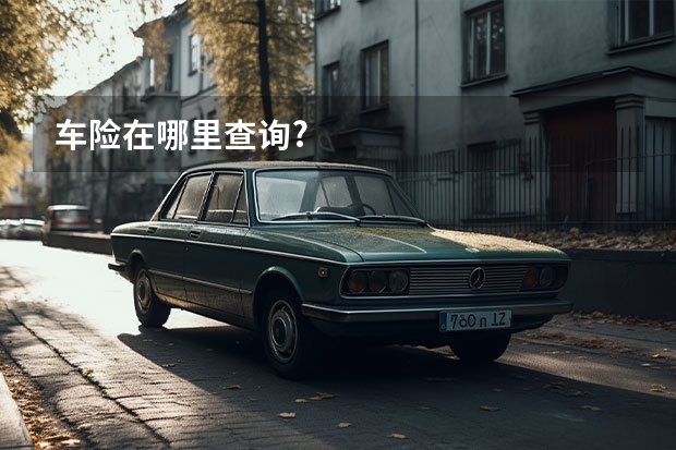 车险在哪里查询?