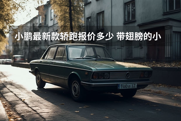 小鹏最新款轿跑报价多少 带翅膀的小鹏P7轿跑来了，开车门的瞬间更有面子感！