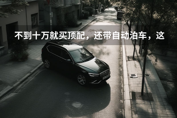 不到十万就买顶配，还带自动泊车，这几款车堪称新手司机练手王（AO级新能源车归于平淡 微型车市场即将迎来洗牌？）