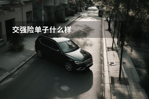 交强险单子什么样