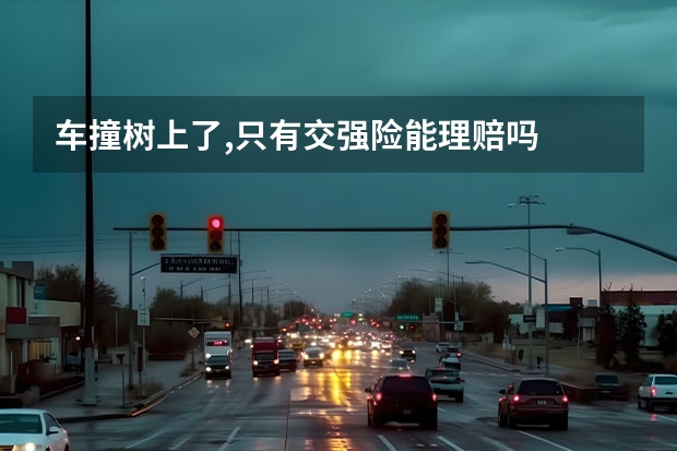 车撞树上了,只有交强险能理赔吗