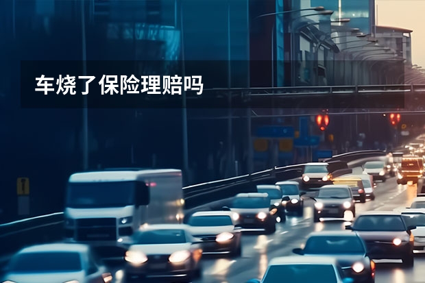 车烧了保险理赔吗