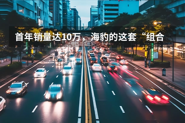 首年销量达10万，海豹的这套“组合技”让合资品牌们破防了（海豹dmi油箱多大）