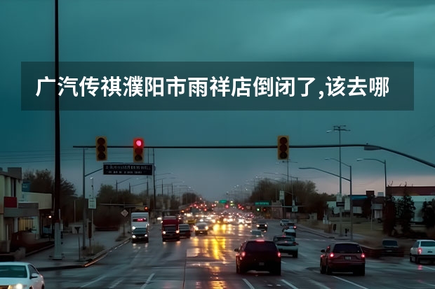 广汽传祺濮阳市雨祥店倒闭了,该去哪里保养车