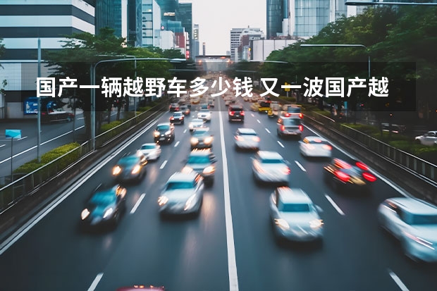 国产一辆越野车多少钱 又一波国产越野新车要来了，造型好看，有一款不到10万块？