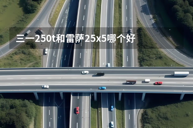 三一250t和雷萨25x5哪个好