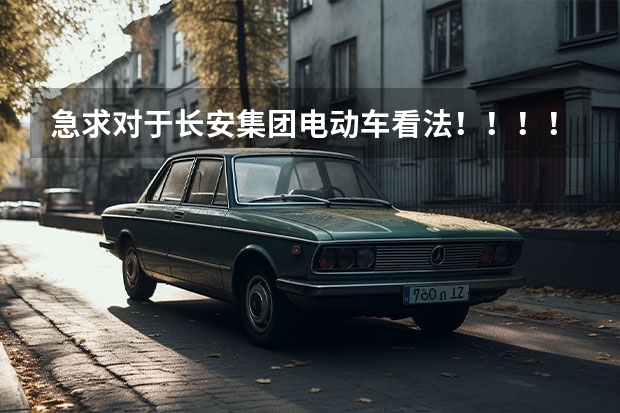 急求对于长安集团电动车看法！！！！ 新能源汽车的技术特征及发展现状