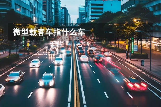 微型载客车指什么车