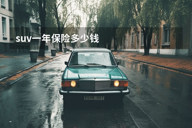 suv一年保险多少钱