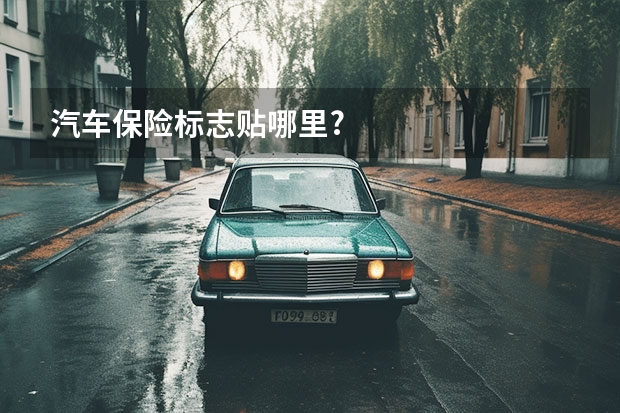 汽车保险标志贴哪里?