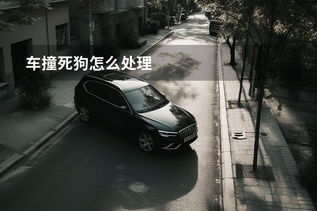 车撞死狗怎么处理