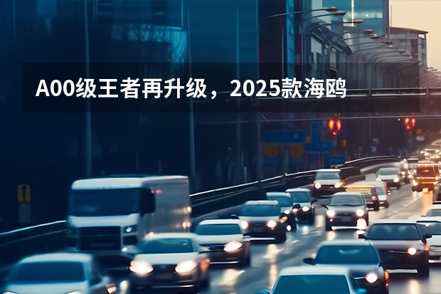A00级王者再升级，2025款海鸥上市 深蓝汽车全新SUV深蓝S09申报图 预计2025年上半年发布