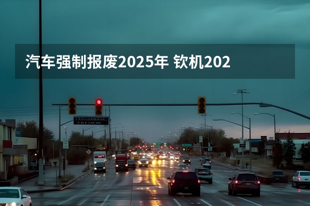 汽车强制报废2025年 钦机2025年是报废车牌还是报废车