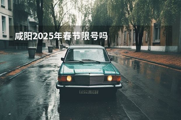 咸阳2025年春节限号吗