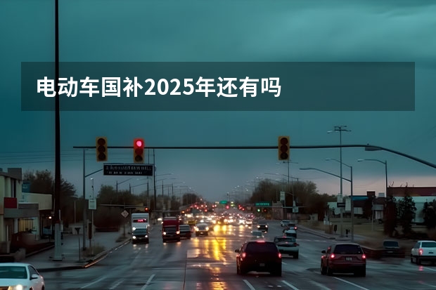 电动车国补2025年还有吗