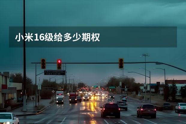 小米16级给多少期权