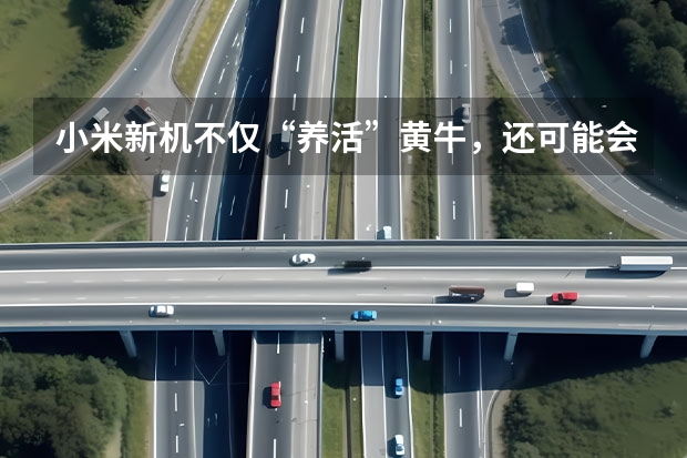 小米新机不仅“养活”黄牛，还可能会“害惨”黄牛！大家怎么看？
