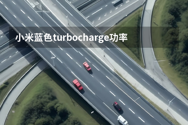 小米蓝色turbocharge功率是多少