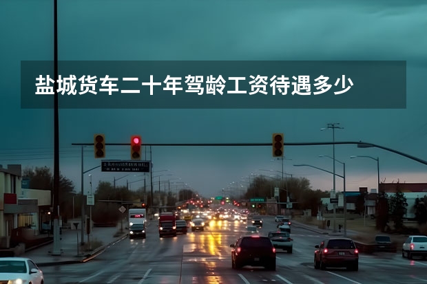 盐城货车二十年驾龄工资待遇多少