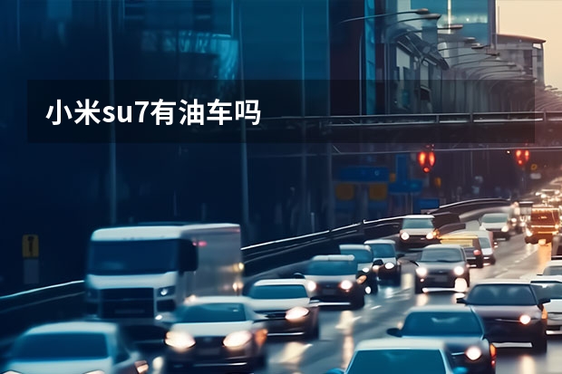 小米su7有油车吗