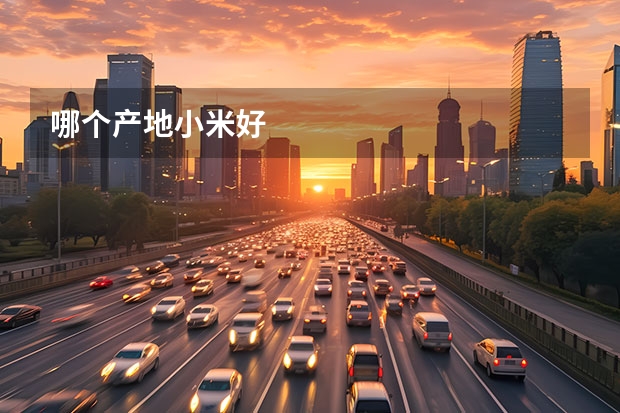 哪个产地小米好