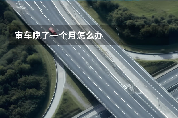 审车晚了一个月怎么办