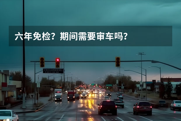 六年免检？期间需要审车吗？