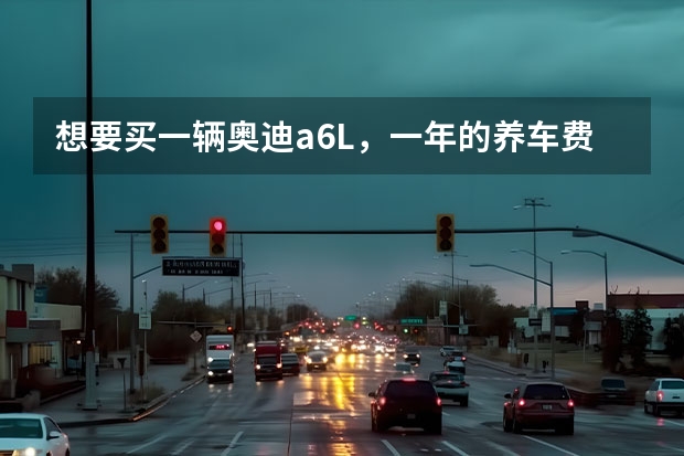 想要买一辆奥迪a6L，一年的养车费用大概要多少？