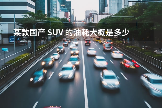 某款国产 SUV 的油耗大概是多少