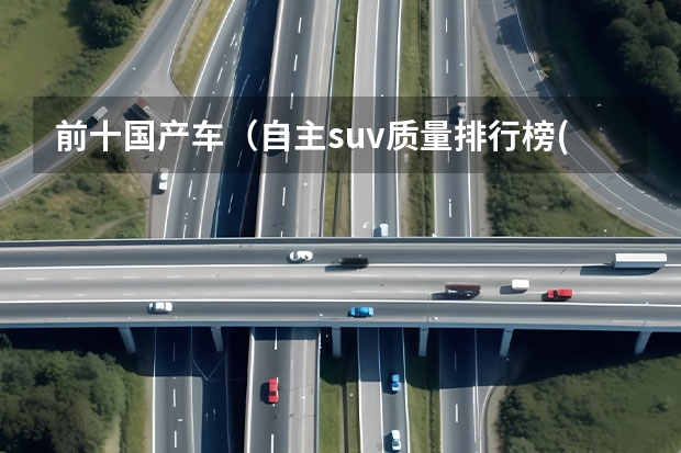 前十国产车（自主suv质量排行榜(国产十大手动挡suv排名)）