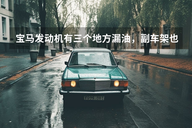 宝马发动机有三个地方漏油，副车架也被师傅拆下，维修难度比较大 18万公里的宝马维修，发动机震动明显，车主：第二次遇到此问题！