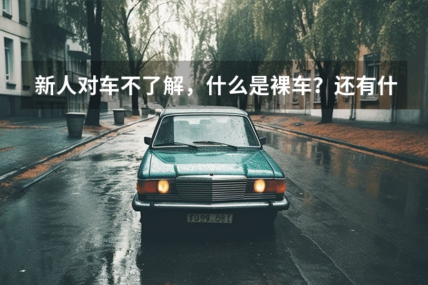 新人对车不了解，什么是裸车？还有什么落地价什么的，都是什么意思？？