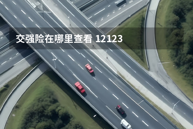 交强险在哪里查看 12123