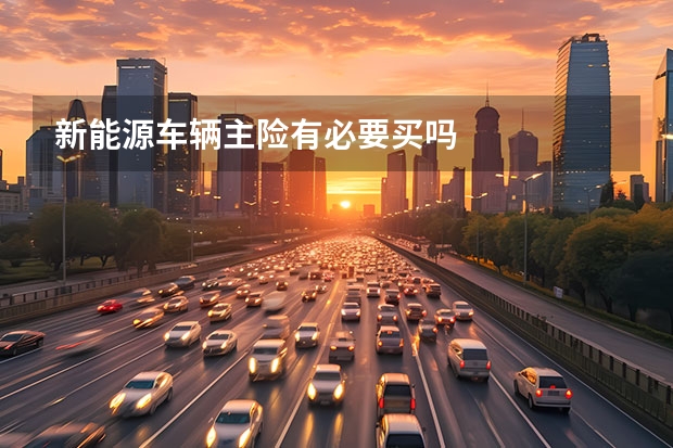 新能源车辆主险有必要买吗