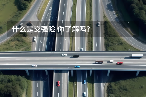 什么是交强险 你了解吗？