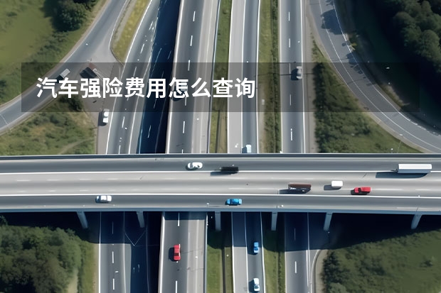 汽车强险费用怎么查询