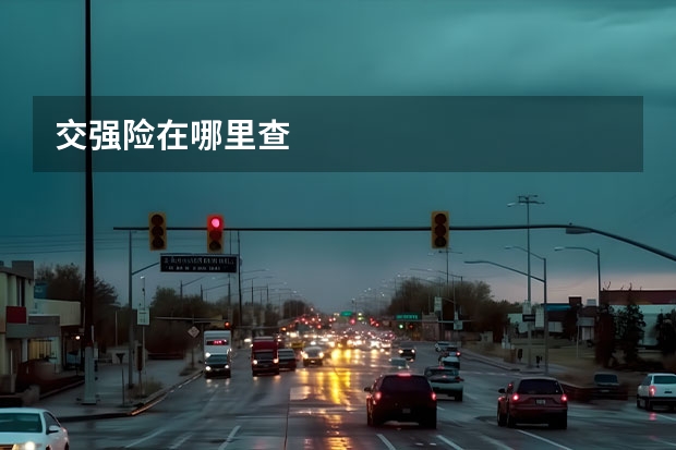 交强险在哪里查