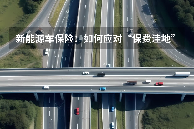 新能源车保险：如何应对“保费洼地”？